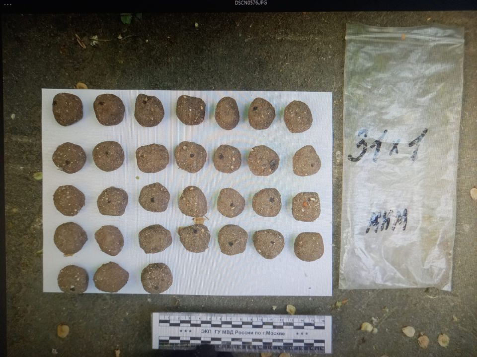 Полицейскими столицы задержан житель Кузбасса за покушение на сбыт свыше 850 граммов мефедрона