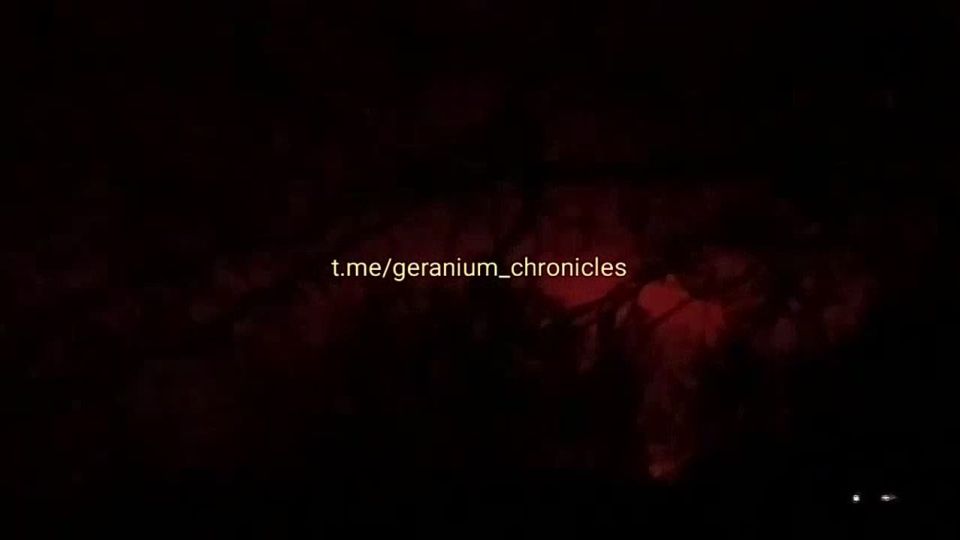 Прилет «Гераней» по цели в Светловодске Кировоградской области